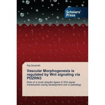 Vascular Morphogenesis is regulated by Wnt signaling via PDZRN3: Role of a novel ubiquitin ligase in Wnt signal transduction during development and in pathology