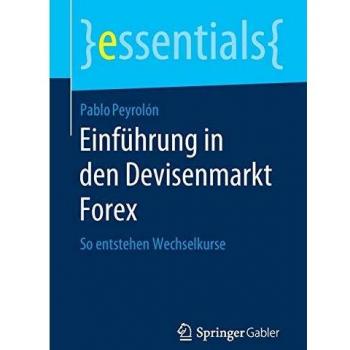 Einführung in den Devisenmarkt Forex: So entstehen Wechselkurse
