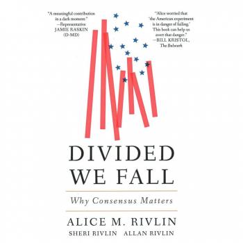 Divided We Fall by Allan Rivlin