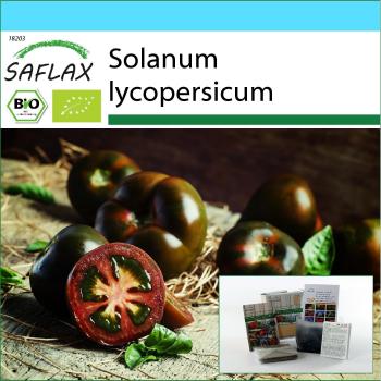 Organic Safflower Tomato Bundle – Gift Edition