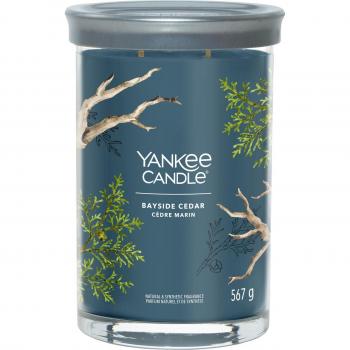 Yankee Candle Large Bayside Cedar Candle