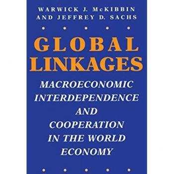 Global Linkages: Macroeconomic Interdependence and Cooperation in the World Economy