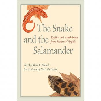 Vitalsource Technologies, Inc. The Snake And The Salamander