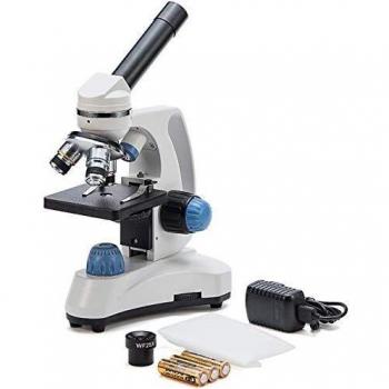 All‑Glass Insight 40‑1000×