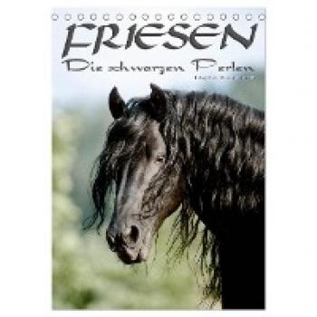 Friesen
