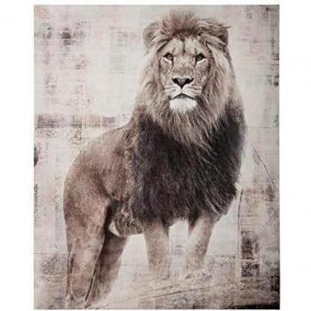 Atmosphera Lion Imprimé 38 x 48 cm