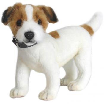 Jack Russell Terrier Peluche 31cm