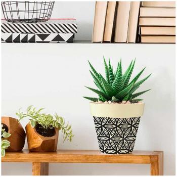Jardin Chic Lily – Pot Bambou Boho Noir & Beige