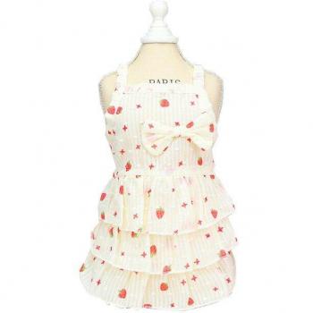 Sleeveless Skirt Costume