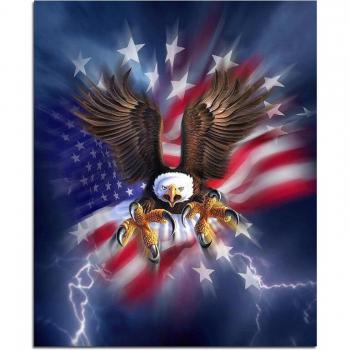 US Flag Eagle Embroidery Diamond Painting – 20x30cm