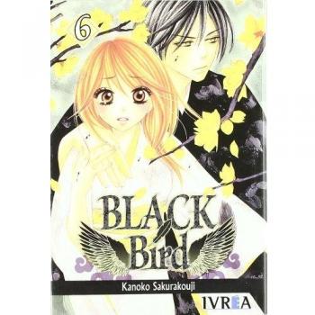 Black bird 06