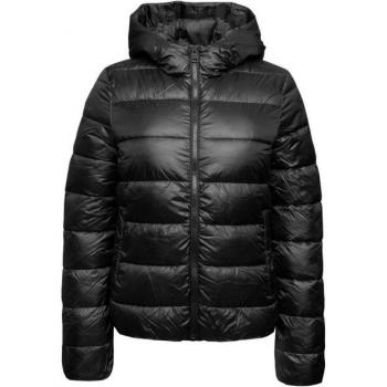 Champion Damen Steppjacke mit Kapuze