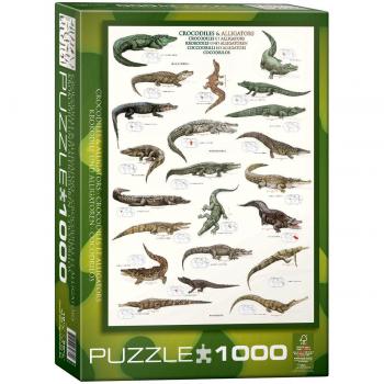 Eurographics 1000 Teile Puzzle Krokodile und Alligatoren