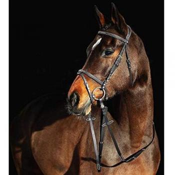 Female Horze Constance Padded Flash Bridle, Black