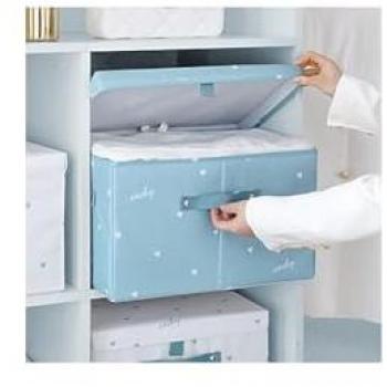 Box Contenitore Salvaspazio 55x42x30 Cm Celeste