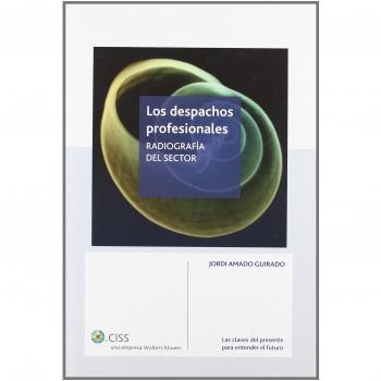 DESPACHOS PROFESIONALES.RADIOGRAFIA DEL SECTOR
