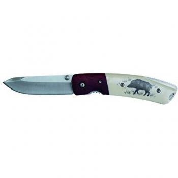 Coltello da tasca in acciaio inox 19 cm