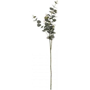 Aire Fresco: Cineraria Artificial Eucalipto