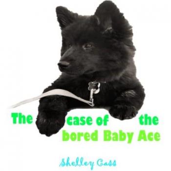Cass, Shelley: The Case of the Bored Baby Ace