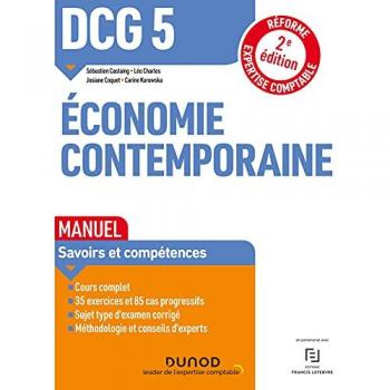 Sébastien Castaing Dcg 5 Economie Contemporaine