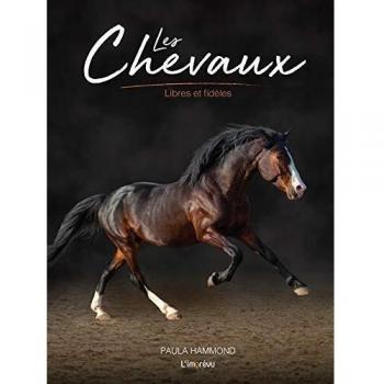 Les Chevaux : Libres et fidèles