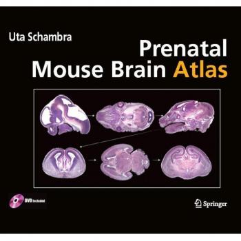 Vitalsource Technologies, Inc. Prenatal Mouse Brain Atlas