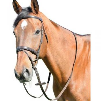 Bridón clásico Kincade para caballo con riendas