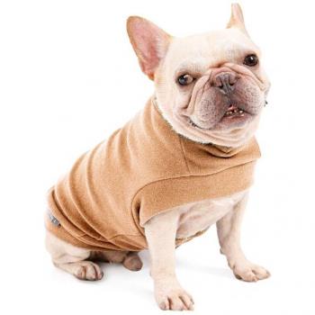 Katten Jongen Kleding