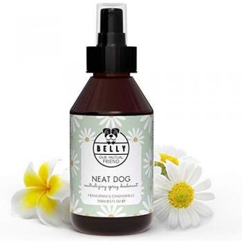 Veganes Hundeshampoo Ergänzungsdeo – 250 ml