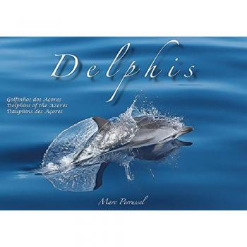 Delphis, dauphins des Açores