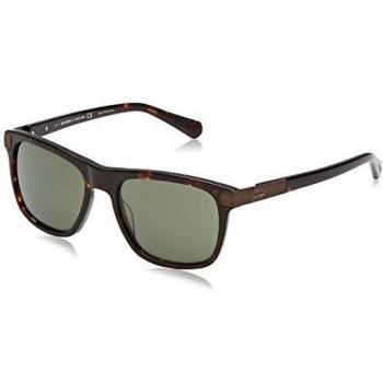 Gafas de sol HD2045 de HARLEY-DAVIDSON para Hombre Marrón