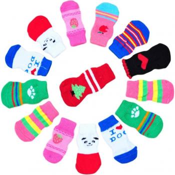 Accessoires pour chiots, moyens et grands chiens