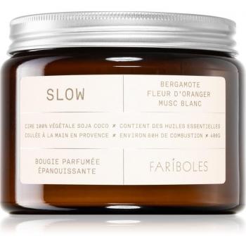 FARIBOLES Green Essence Scented Candle 400 g