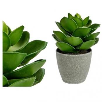 Pianta Decorativa Grigio Verde (16 x 21 x 16 cm)
