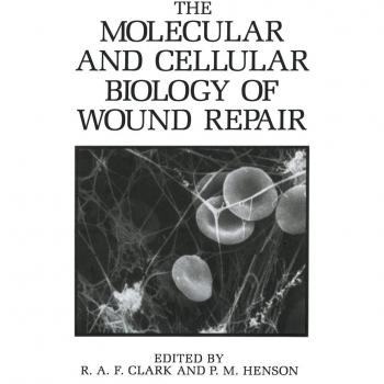 The Molecular and Cellular Biology of Wound Repair