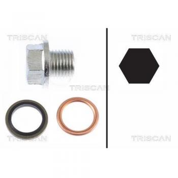 TRISCAN Oil Drain Plug, oil pan 9500 1001
