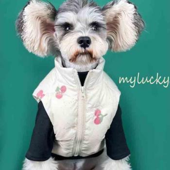 Warm Dog Vest for Small and Medium Breeds