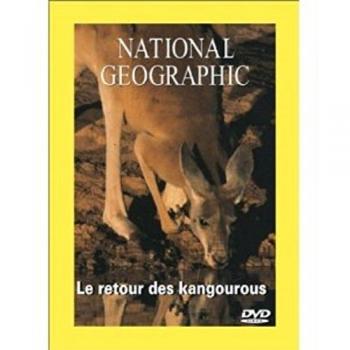 Kangourous : Un Nouveau Voyage