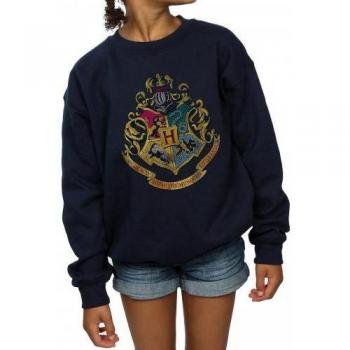 Harry Potter Hogwarts Houses Girls Sweatshirt