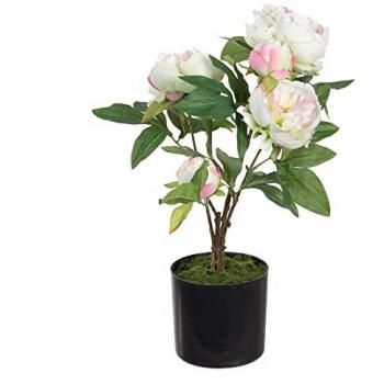 Planta decorativa 36 x 30 x 44 cm crema peonía