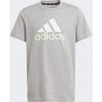 Camiseta de Manga Corta Adidas Big Logo 2 para niños en color gris