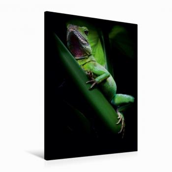CALVENDO „Premium Wasseragame“ – Textil‑Leinwand 60 × 90 cm, Lichtfenster Edition