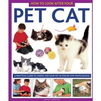 How to Look After Your Pet Cat David Alderton