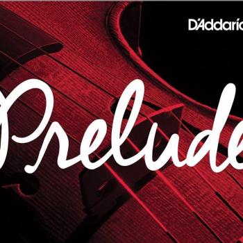 D’Addario 44M Prelude Violin G‑String – Medium, ¾ Length