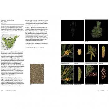 Smithsonian Trees of North America