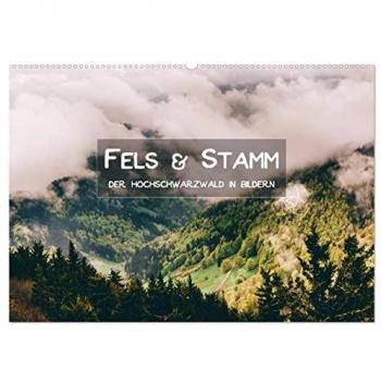 Fels und Stamm