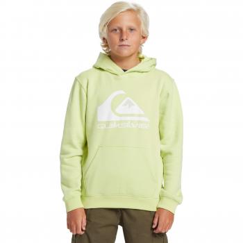 Quiksilver Youth Big Logo Hoodie