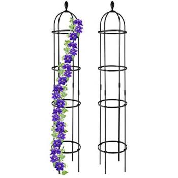 Obelischi da Giardino per Piante Rampicanti, Set di 2, Altezza 190 cm, Nero