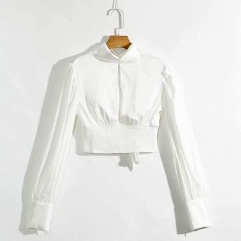 Sexy White Crop Top with Lantern Sleeves