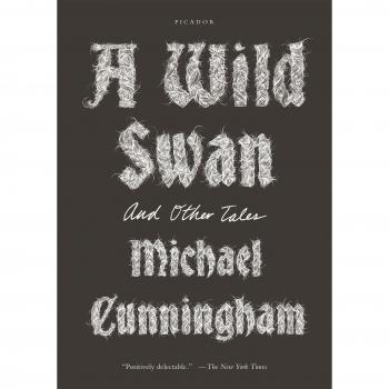 A Wild Swan: And Other Tales